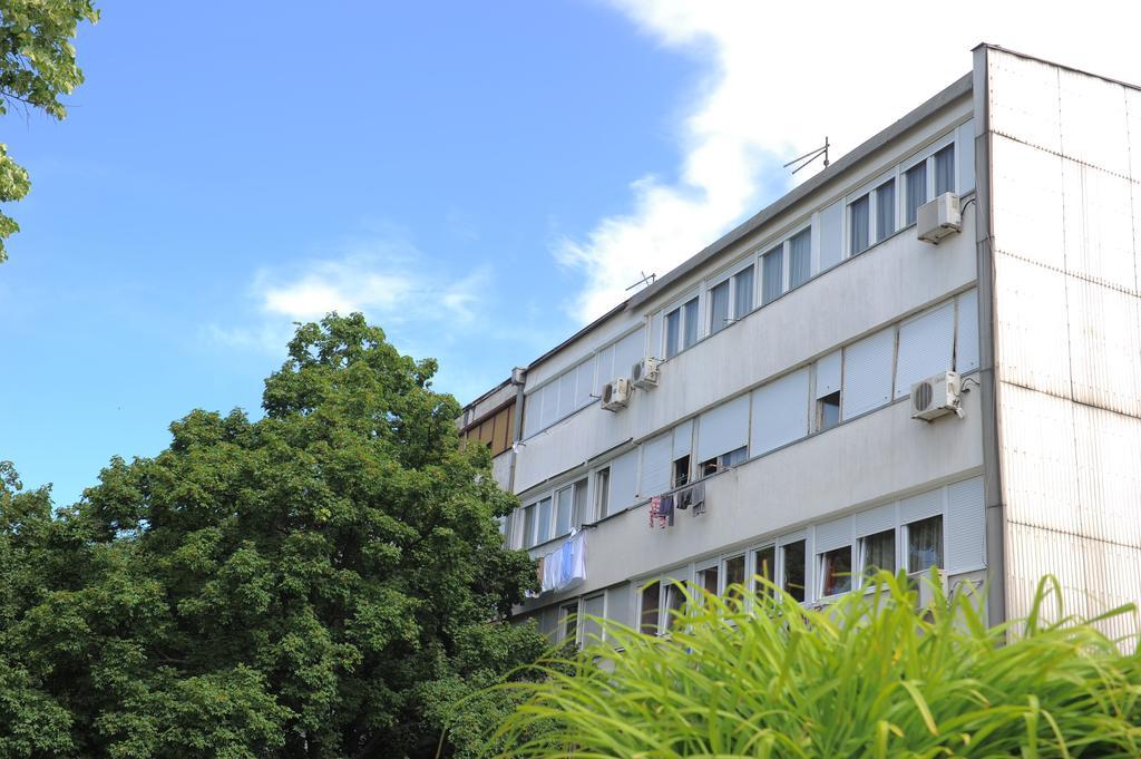 Apartment Daca Stan Βελιγράδι Εξωτερικό φωτογραφία