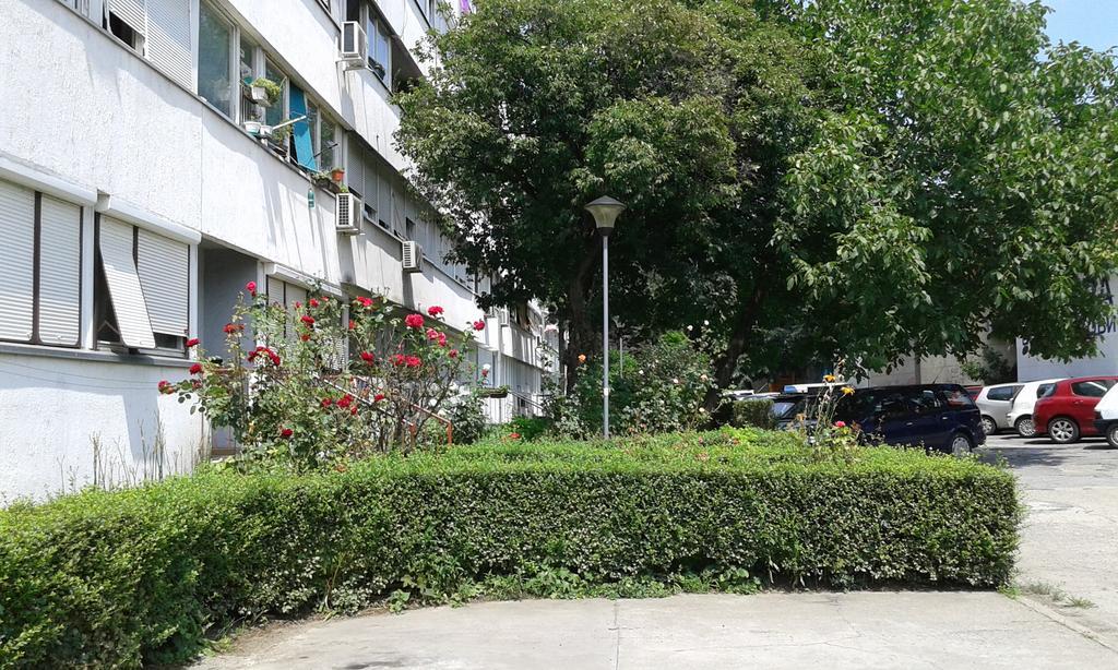 Apartment Daca Stan Βελιγράδι Εξωτερικό φωτογραφία