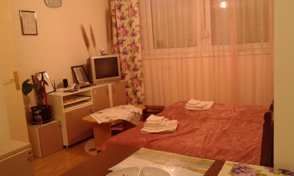 Apartment Daca Stan Βελιγράδι Εξωτερικό φωτογραφία